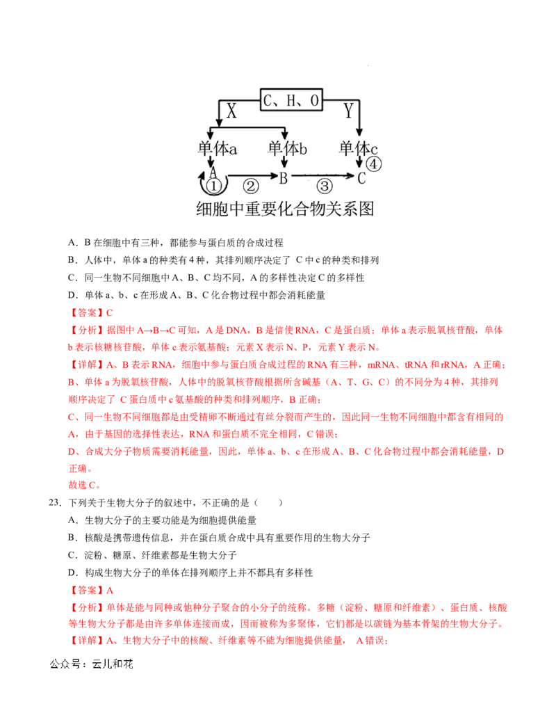 高一生物第一次月考卷01（全解全析）（新高考通用）_1多考区联考试卷_0920（新高考通用）黄金卷：2024-2025学年高一上学期第一次月考（含答题卡word解析版）