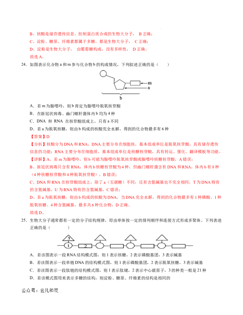 高一生物第一次月考卷01（全解全析）（新高考通用）_1多考区联考试卷_0920（新高考通用）黄金卷：2024-2025学年高一上学期第一次月考（含答题卡word解析版）