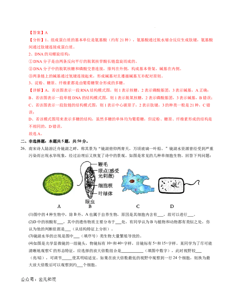高一生物第一次月考卷01（全解全析）（新高考通用）_1多考区联考试卷_0920（新高考通用）黄金卷：2024-2025学年高一上学期第一次月考（含答题卡word解析版）