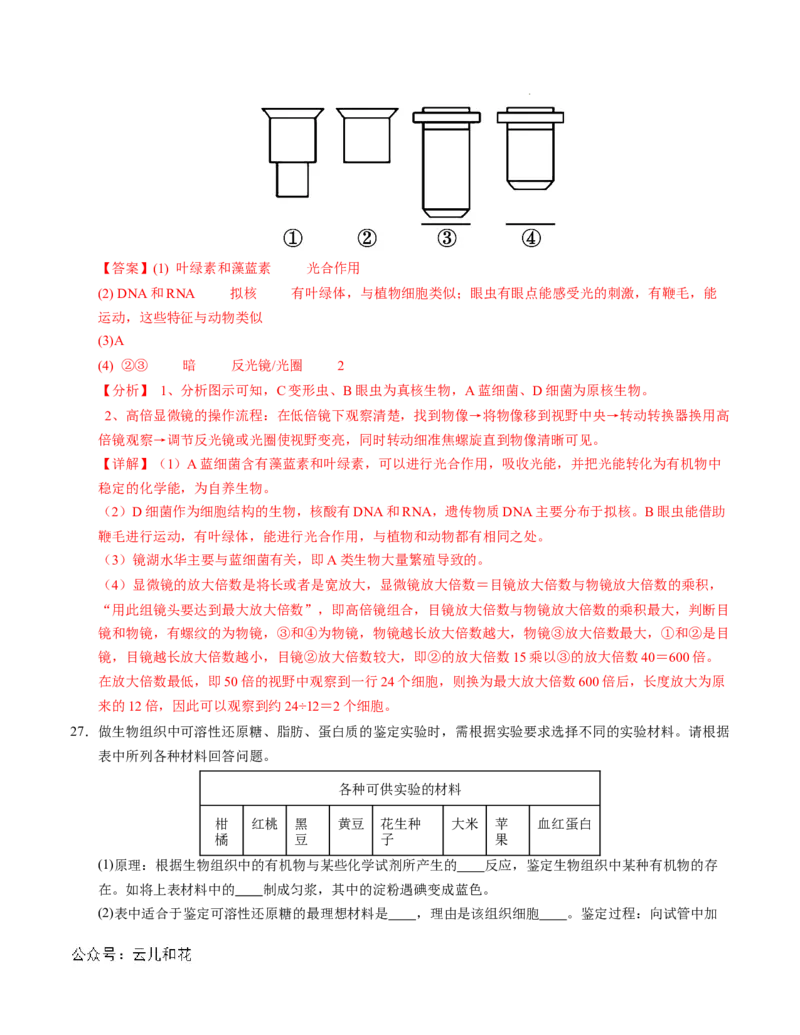 高一生物第一次月考卷01（全解全析）（新高考通用）_1多考区联考试卷_0920（新高考通用）黄金卷：2024-2025学年高一上学期第一次月考（含答题卡word解析版）