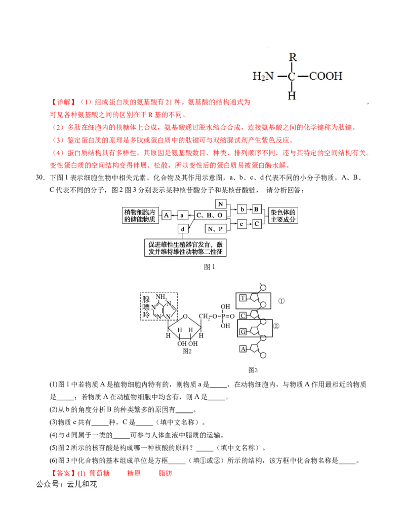 高一生物第一次月考卷01（全解全析）（新高考通用）_1多考区联考试卷_0920（新高考通用）黄金卷：2024-2025学年高一上学期第一次月考（含答题卡word解析版）