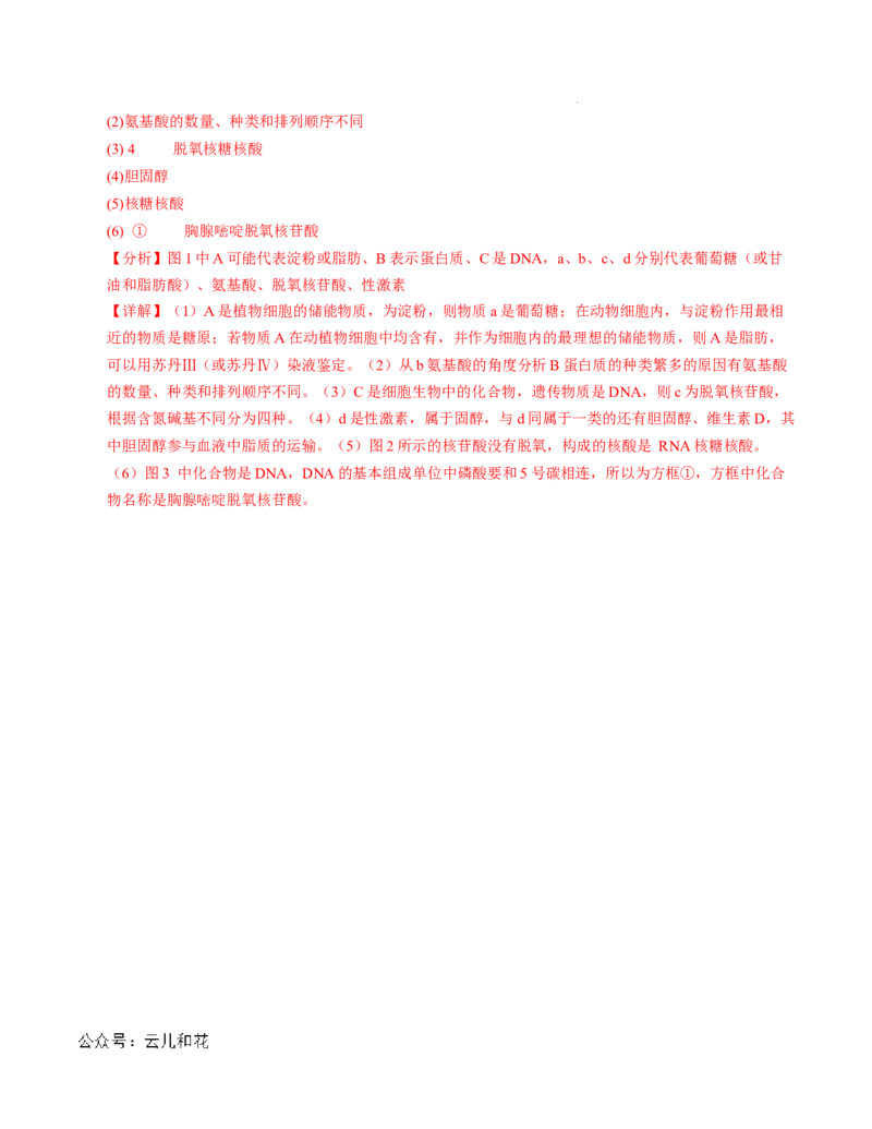 高一生物第一次月考卷01（全解全析）（新高考通用）_1多考区联考试卷_0920（新高考通用）黄金卷：2024-2025学年高一上学期第一次月考（含答题卡word解析版）