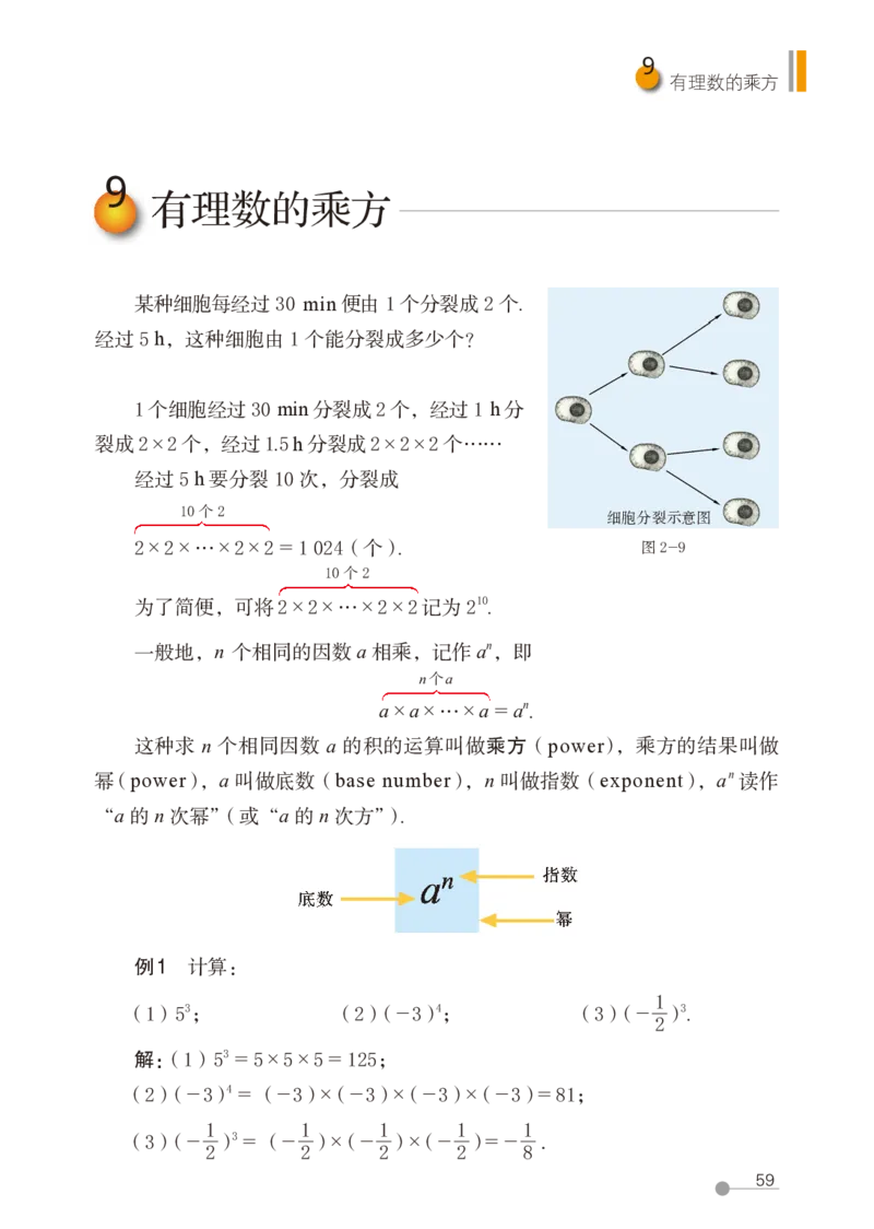 鲁教版6年级数学上册高清教材_4-教培资料-26年最新资料-同步更新_初中高中教资_03科三专项（进去保存报考的学科即可）_02科三专项（笔记真题思维导图教学设计版本二）
