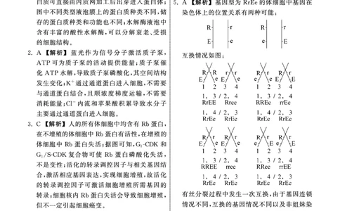 2025.4齐鲁名校大联考高三生物答案_2025年4月_250422山东省齐鲁名校大联考2025届高三第七次学业水平联合检测（全科）_齐鲁名校大联考2025届山东省高三第七次学业水平联合检测生物