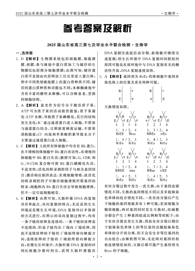 2025.4齐鲁名校大联考高三生物答案_2025年4月_250422山东省齐鲁名校大联考2025届高三第七次学业水平联合检测（全科）_齐鲁名校大联考2025届山东省高三第七次学业水平联合检测生物