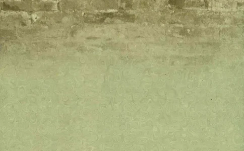 谭平山传_绝版书_天涯系列_天涯神贴高阶合集_稀缺内容_领导人物传记大全