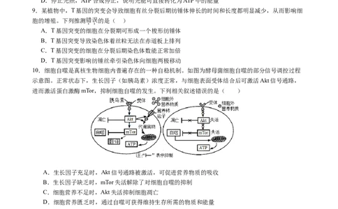 生物（新高考通用）01（考试版）(1)_1多考区联考_08272024年新高二开学摸底考试卷（word版含解析和答题卡）