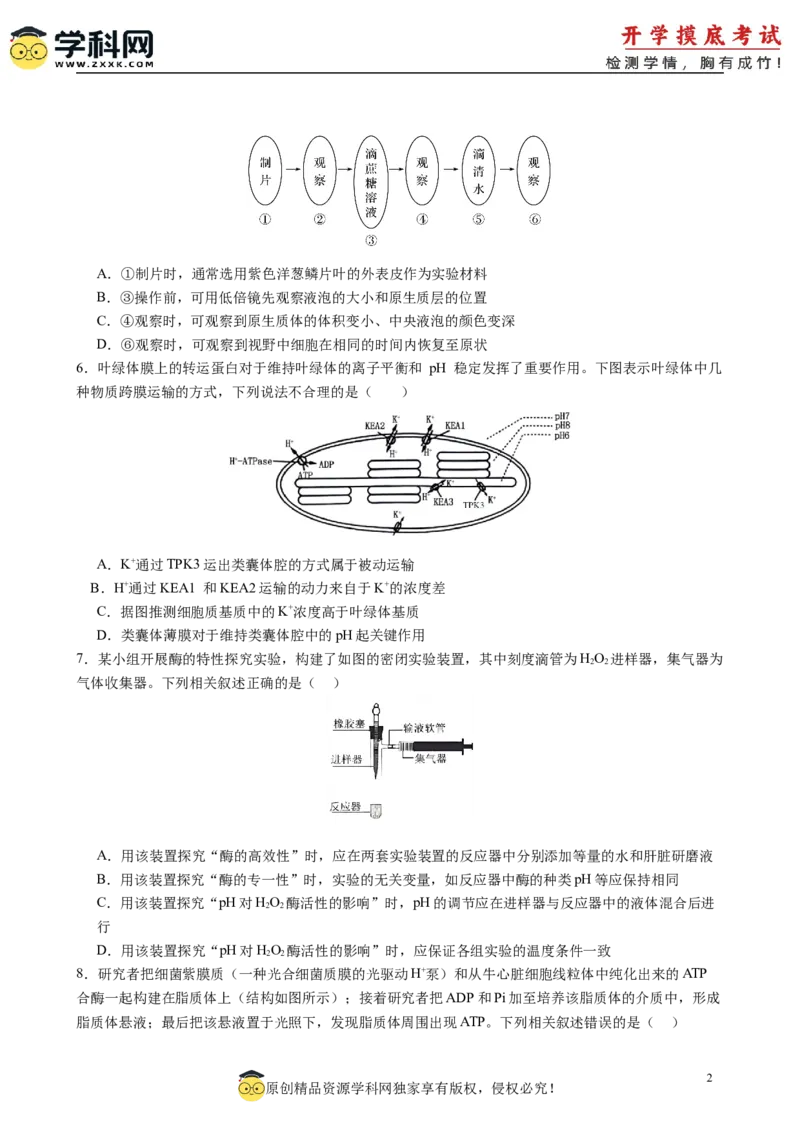 生物（新高考通用）01（考试版）(1)_1多考区联考_08272024年新高二开学摸底考试卷（word版含解析和答题卡）