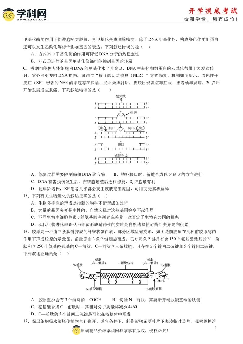 生物（新高考通用）01（考试版）(1)_1多考区联考_08272024年新高二开学摸底考试卷（word版含解析和答题卡）