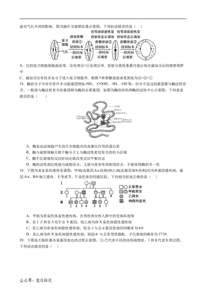 生物（新高考通用）01（考试版）(1)_1多考区联考_08272024年新高二开学摸底考试卷（word版含解析和答题卡）