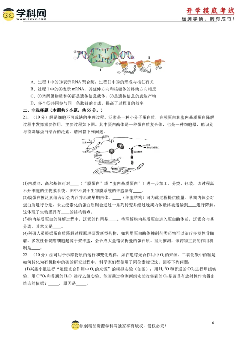 生物（新高考通用）01（考试版）(1)_1多考区联考_08272024年新高二开学摸底考试卷（word版含解析和答题卡）