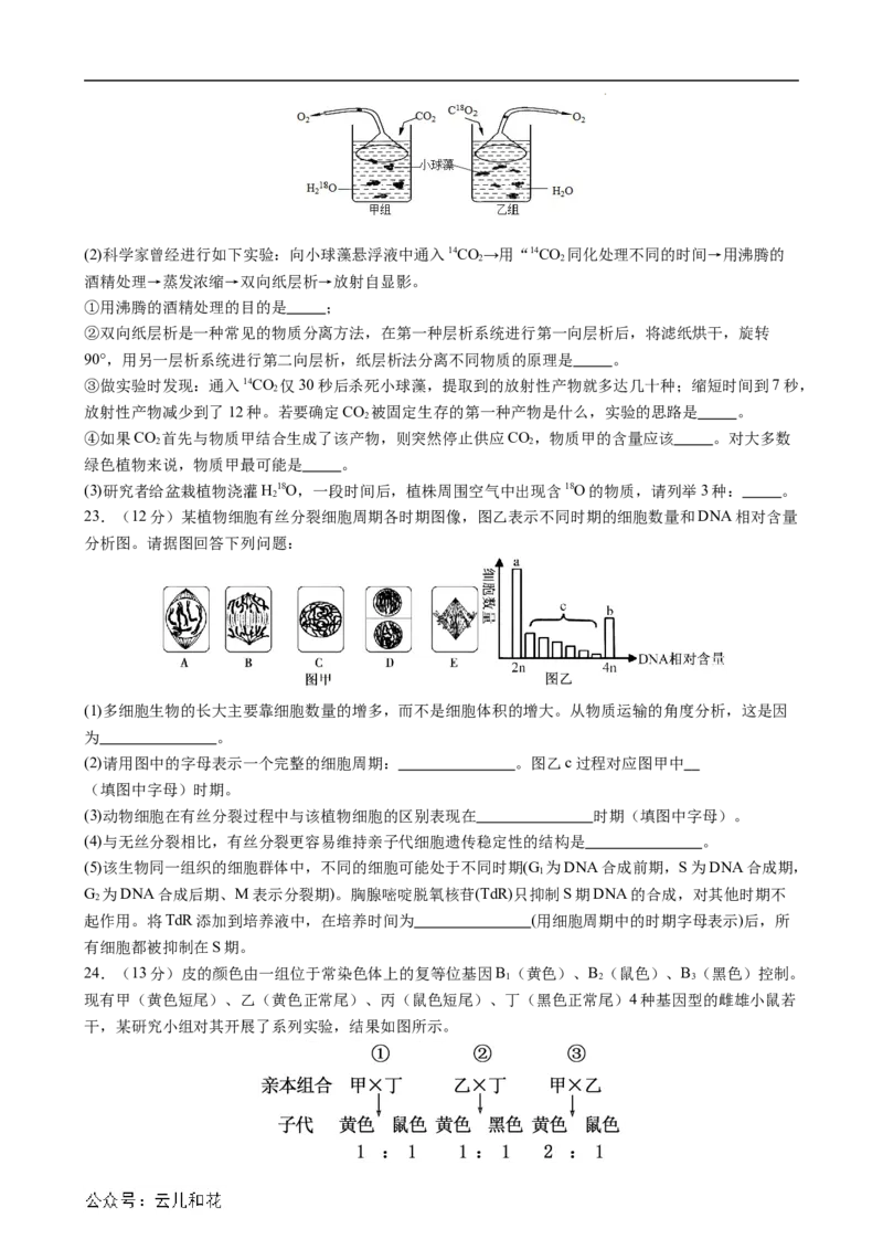 生物（新高考通用）01（考试版）(1)_1多考区联考_08272024年新高二开学摸底考试卷（word版含解析和答题卡）