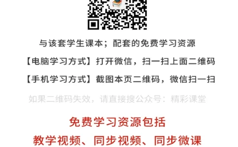 鲁美版美术选修5高清教材_4-教培资料-26年最新资料-同步更新_初中高中教资_03科三专项（进去保存报考的学科即可）_02科三专项（笔记真题思维导图教学设计版本二）