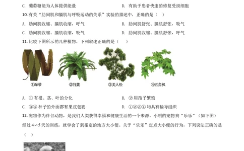 精品解析：山东省德州市2020中考生物试题（原卷版）_中考真题_8.生物中考真题2015-2024年_2020生物真题74份_2020年中考真题精品解析生物（山东德州卷）精编word版