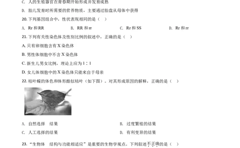 精品解析：山东省德州市2020中考生物试题（原卷版）_中考真题_8.生物中考真题2015-2024年_2020生物真题74份_2020年中考真题精品解析生物（山东德州卷）精编word版