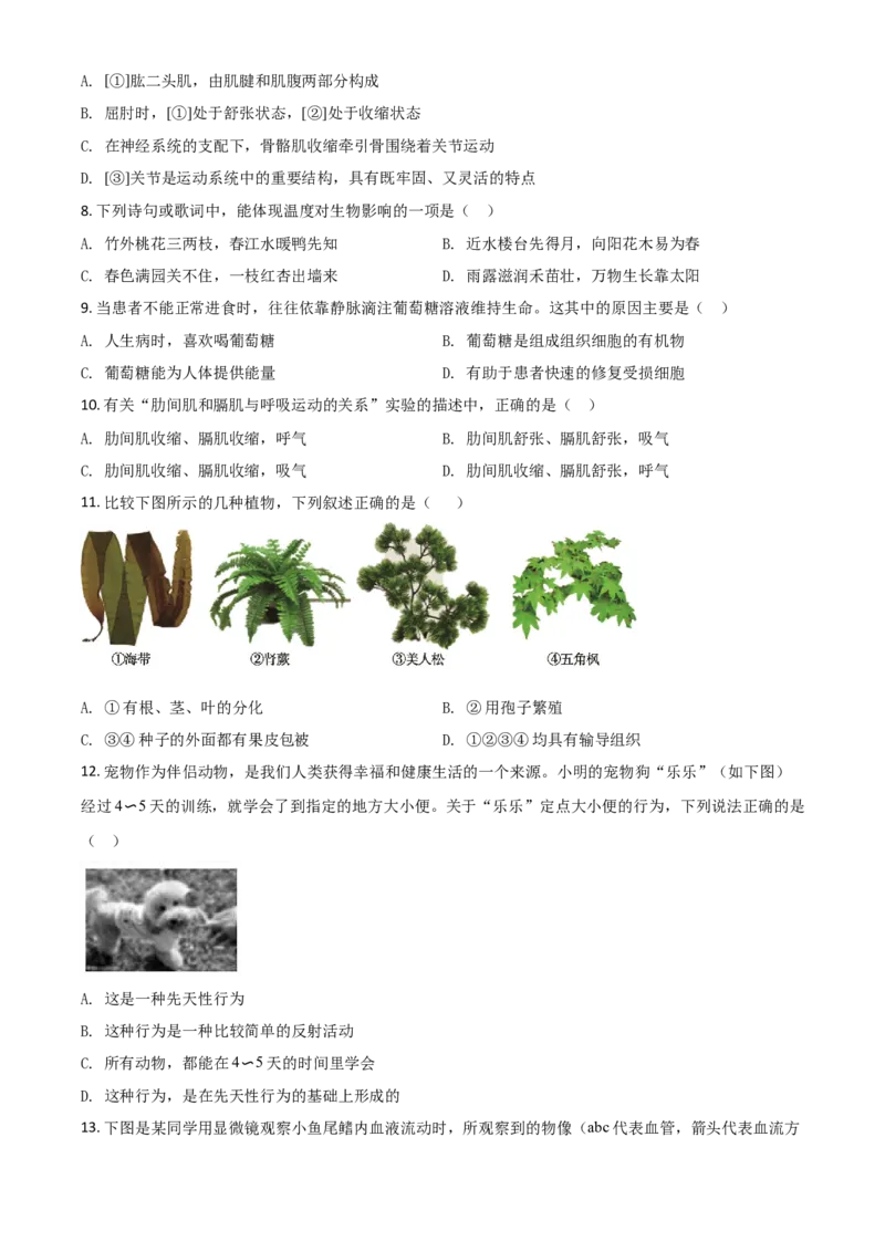 精品解析：山东省德州市2020中考生物试题（原卷版）_中考真题_8.生物中考真题2015-2024年_2020生物真题74份_2020年中考真题精品解析生物（山东德州卷）精编word版
