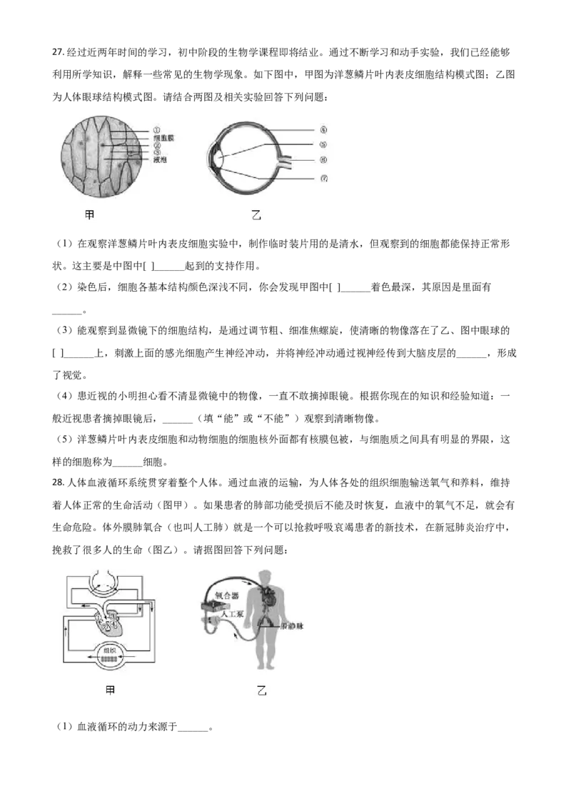 精品解析：山东省德州市2020中考生物试题（原卷版）_中考真题_8.生物中考真题2015-2024年_2020生物真题74份_2020年中考真题精品解析生物（山东德州卷）精编word版