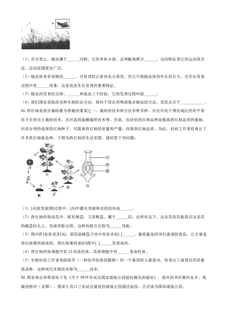 精品解析：山东省德州市2020中考生物试题（原卷版）_中考真题_8.生物中考真题2015-2024年_2020生物真题74份_2020年中考真题精品解析生物（山东德州卷）精编word版