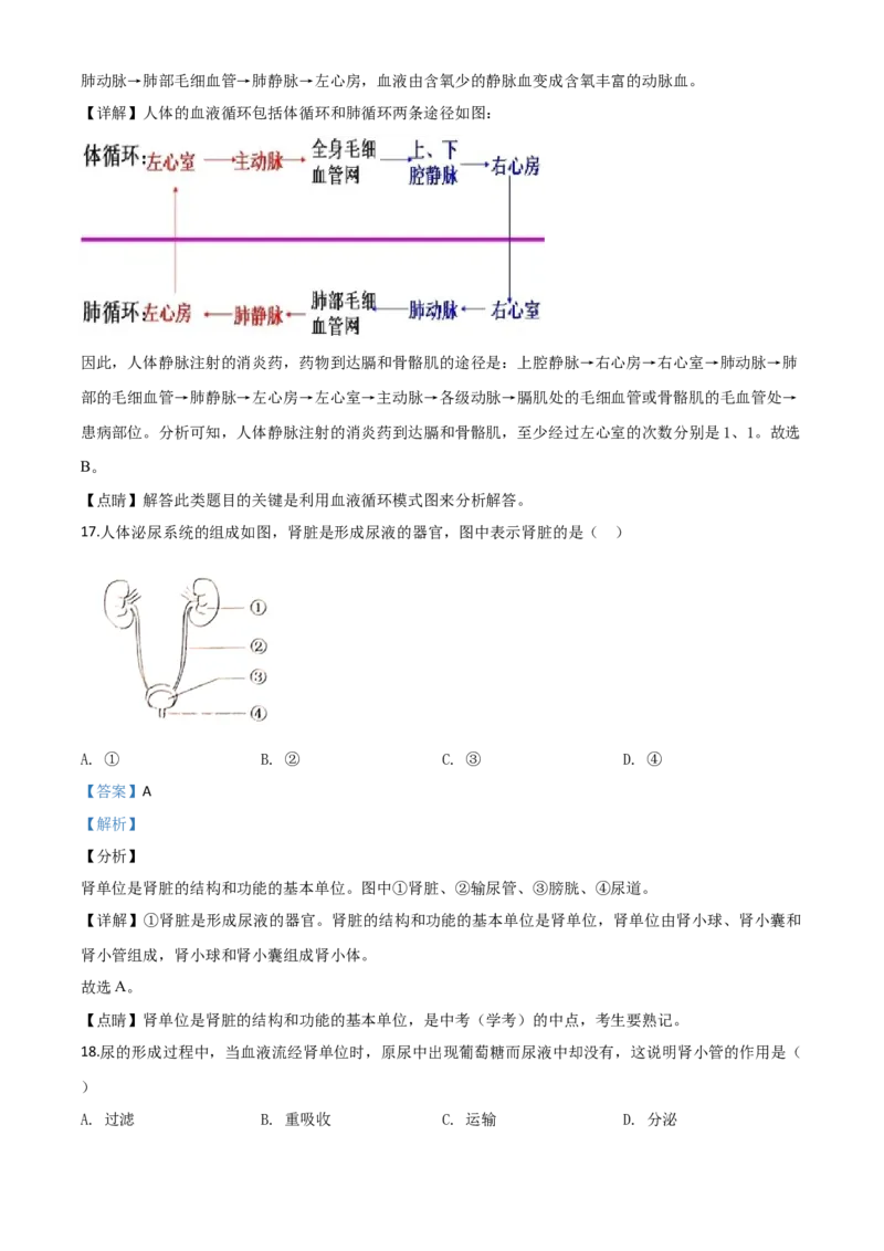 精品解析：云南省昆明市2020年中考生物试题（解析版）_中考真题_8.生物中考真题2015-2024年_2020生物真题74份_2020年中考真题精品解析生物（云南昆明卷）精编word版