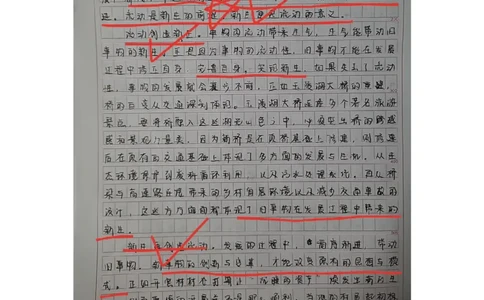 作业1答案_2026考公资料_（28）上岸村合集（司马、章晓铭、王永恒、天晓、忠政、丁旭等）_2025合集_4忠政合集_申论2024国考忠政申论批改班_32期批改班