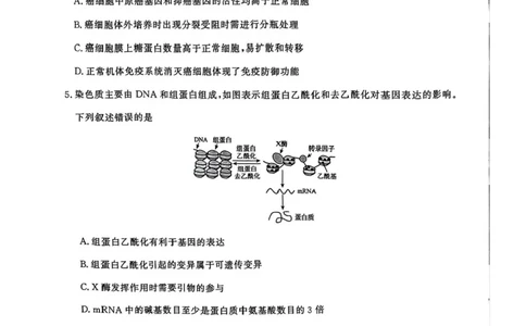 2025届河南省青桐鸣5月全真模拟卷&middot;高考考前适应性考试-生物试题（含答案）_2025年5月_2505292025届河南省青桐鸣5月全真模拟卷&middot;高考考前适应性考试（全科）