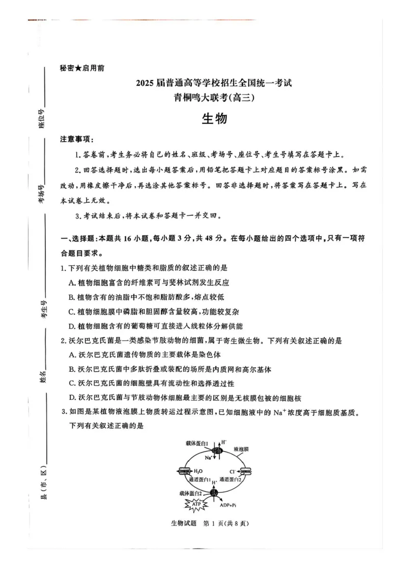 2025届河南省青桐鸣5月全真模拟卷&middot;高考考前适应性考试-生物试题（含答案）_2025年5月_2505292025届河南省青桐鸣5月全真模拟卷&middot;高考考前适应性考试（全科）