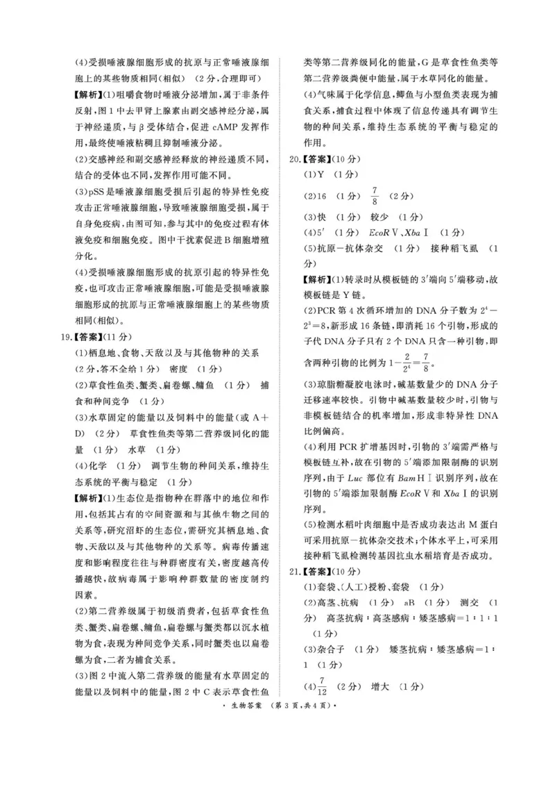 2025届河南省青桐鸣5月全真模拟卷&middot;高考考前适应性考试-生物试题（含答案）_2025年5月_2505292025届河南省青桐鸣5月全真模拟卷&middot;高考考前适应性考试（全科）