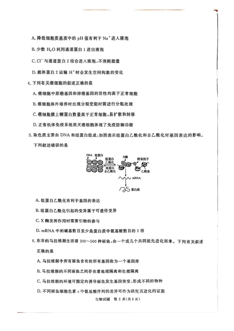 2025届河南省青桐鸣5月全真模拟卷&middot;高考考前适应性考试-生物试题（含答案）_2025年5月_2505292025届河南省青桐鸣5月全真模拟卷&middot;高考考前适应性考试（全科）