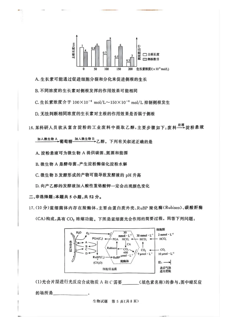 2025届河南省青桐鸣5月全真模拟卷&middot;高考考前适应性考试-生物试题（含答案）_2025年5月_2505292025届河南省青桐鸣5月全真模拟卷&middot;高考考前适应性考试（全科）