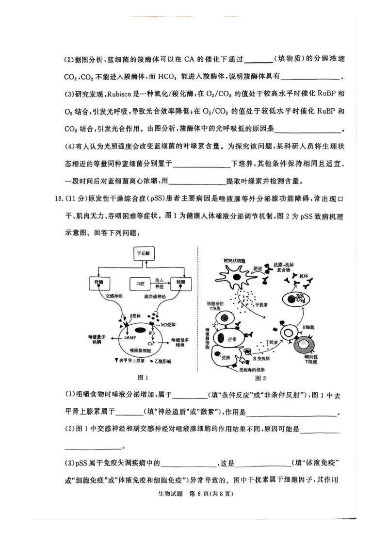 2025届河南省青桐鸣5月全真模拟卷&middot;高考考前适应性考试-生物试题（含答案）_2025年5月_2505292025届河南省青桐鸣5月全真模拟卷&middot;高考考前适应性考试（全科）