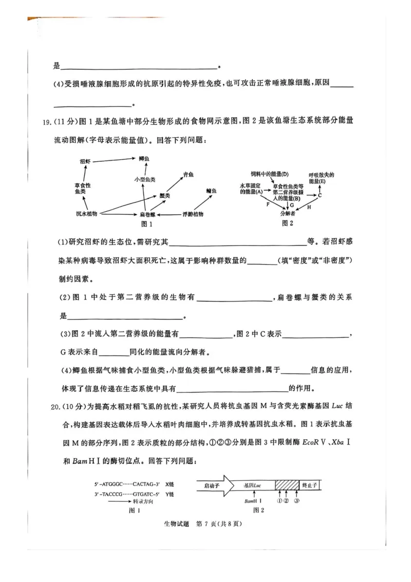 2025届河南省青桐鸣5月全真模拟卷&middot;高考考前适应性考试-生物试题（含答案）_2025年5月_2505292025届河南省青桐鸣5月全真模拟卷&middot;高考考前适应性考试（全科）