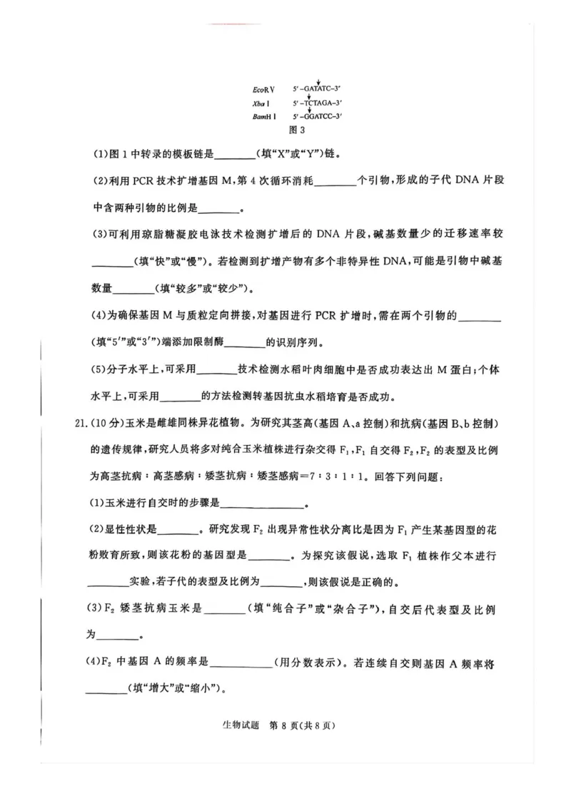 2025届河南省青桐鸣5月全真模拟卷&middot;高考考前适应性考试-生物试题（含答案）_2025年5月_2505292025届河南省青桐鸣5月全真模拟卷&middot;高考考前适应性考试（全科）