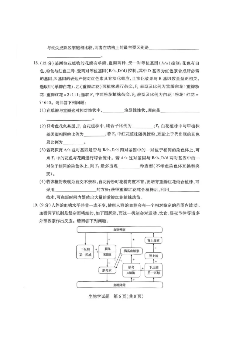 2025届皖豫天一大联考高三上学期1月期末检测生物_2025年1月_250115皖豫天一大联考2025届高三年级1月期末检测（全科）