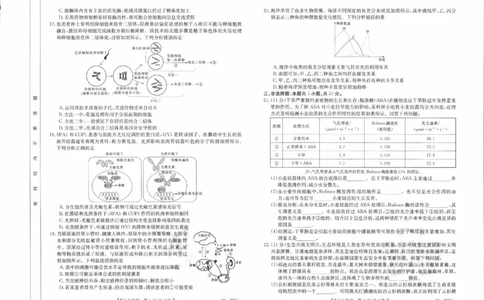辽宁省县级重点高中协作体2023-2024学年高三上学期末考试生物试题_2024届辽宁省县级重点高中协作体高三上学期末考试_辽宁省县级重点高中协作体2024届高三上学期末考试生物