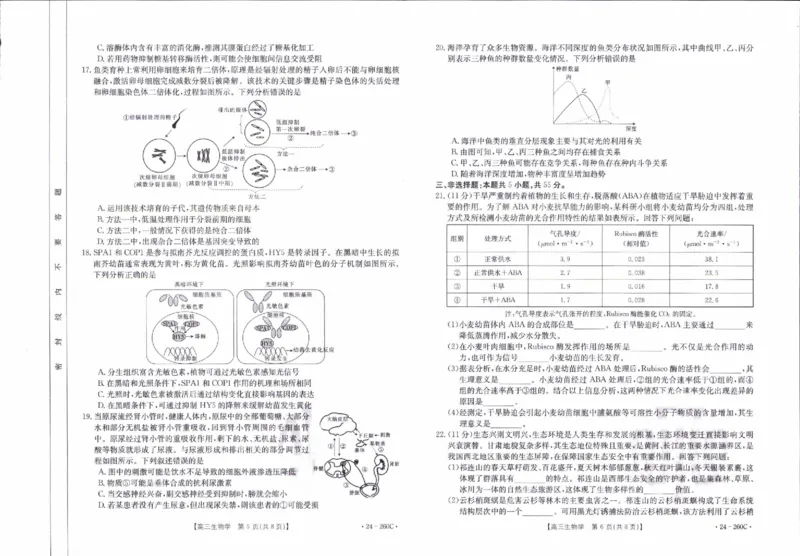 辽宁省县级重点高中协作体2023-2024学年高三上学期末考试生物试题_2024届辽宁省县级重点高中协作体高三上学期末考试_辽宁省县级重点高中协作体2024届高三上学期末考试生物