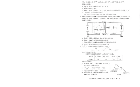 化学试卷_2025年5月_2505052025年湖北省新八校协作体高三5月联考（全科）