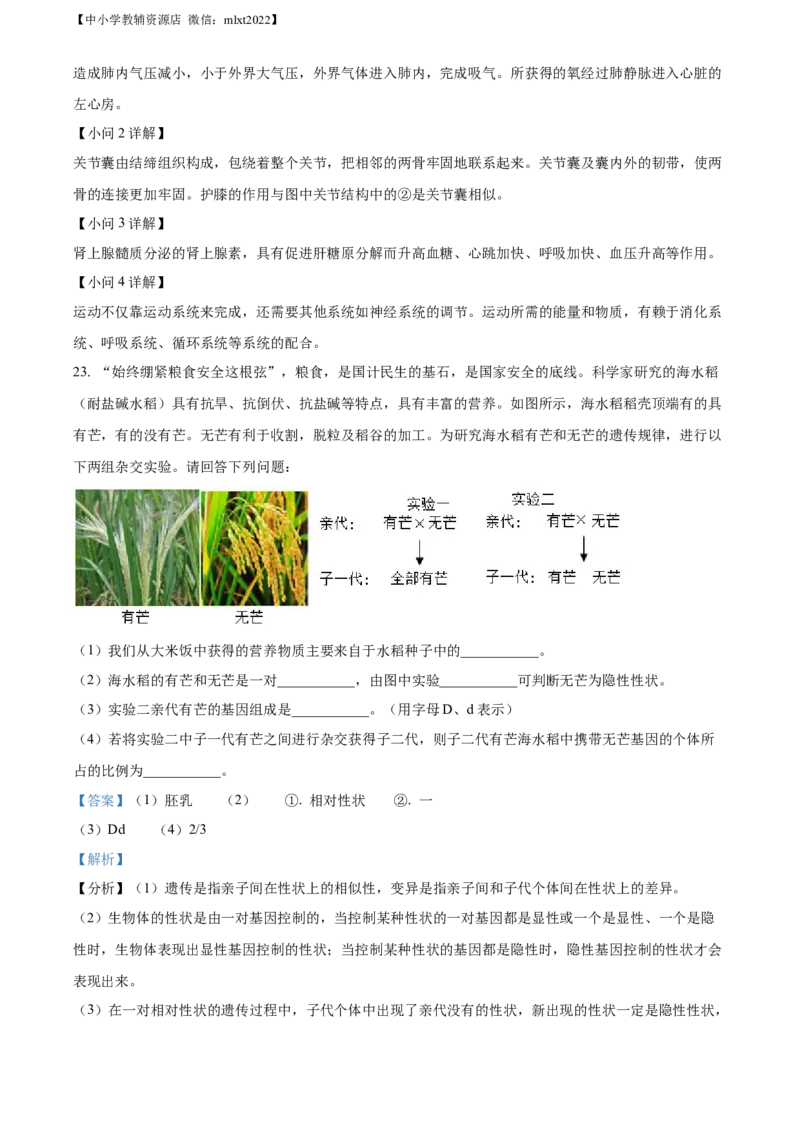 精品解析：湖南省张家界市2022年中考真题（解析版）_中考真题_8.生物中考真题2015-2024年_2022年全国中考生物114份14