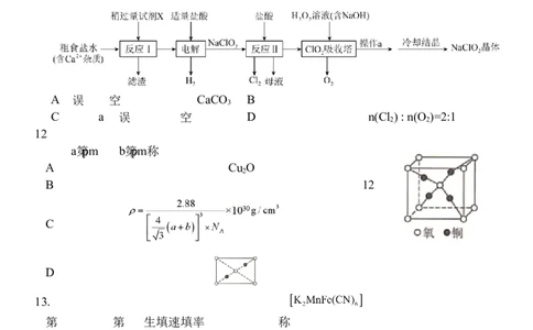 2025届湖北省武汉市第二中学高三下学期模拟考试化学试卷_2025年5月_2505272025届湖北省武汉市第二中学高三模拟预测试题