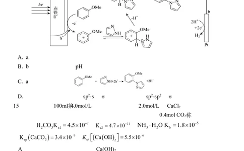 2025届湖北省武汉市第二中学高三下学期模拟考试化学试卷_2025年5月_2505272025届湖北省武汉市第二中学高三模拟预测试题