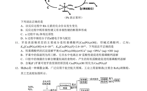 化学试题_2025年3月_250305安徽省江南十校2025届高三下学期第一次联考（一模）（全科）_安徽省江南十校2025届高三下学期第一次联考（一模）化学