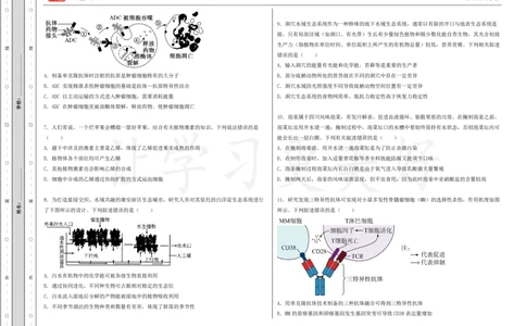 (8.30)-点睛押题卷&mdash;&mdash;江西卷_2024高考押题卷_132024高途全系列_26高途点睛卷_2024点睛密卷-生物
