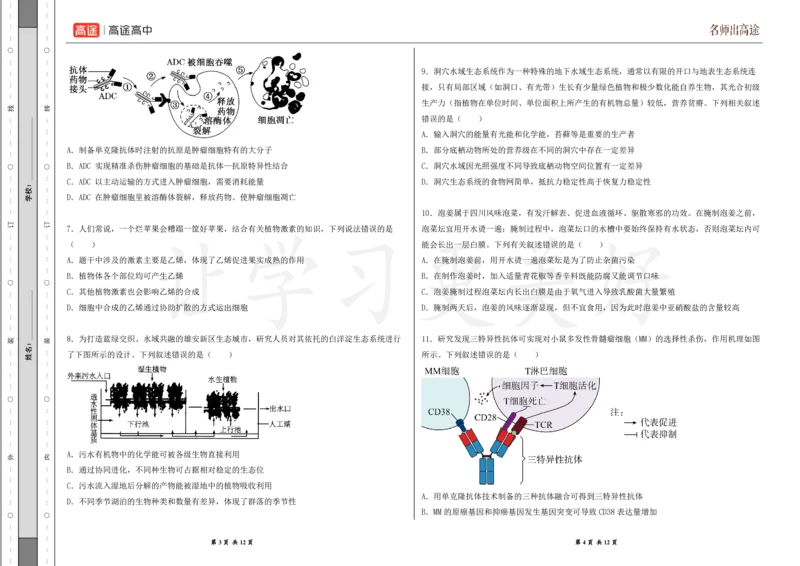 (8.30)-点睛押题卷&mdash;&mdash;江西卷_2024高考押题卷_132024高途全系列_26高途点睛卷_2024点睛密卷-生物