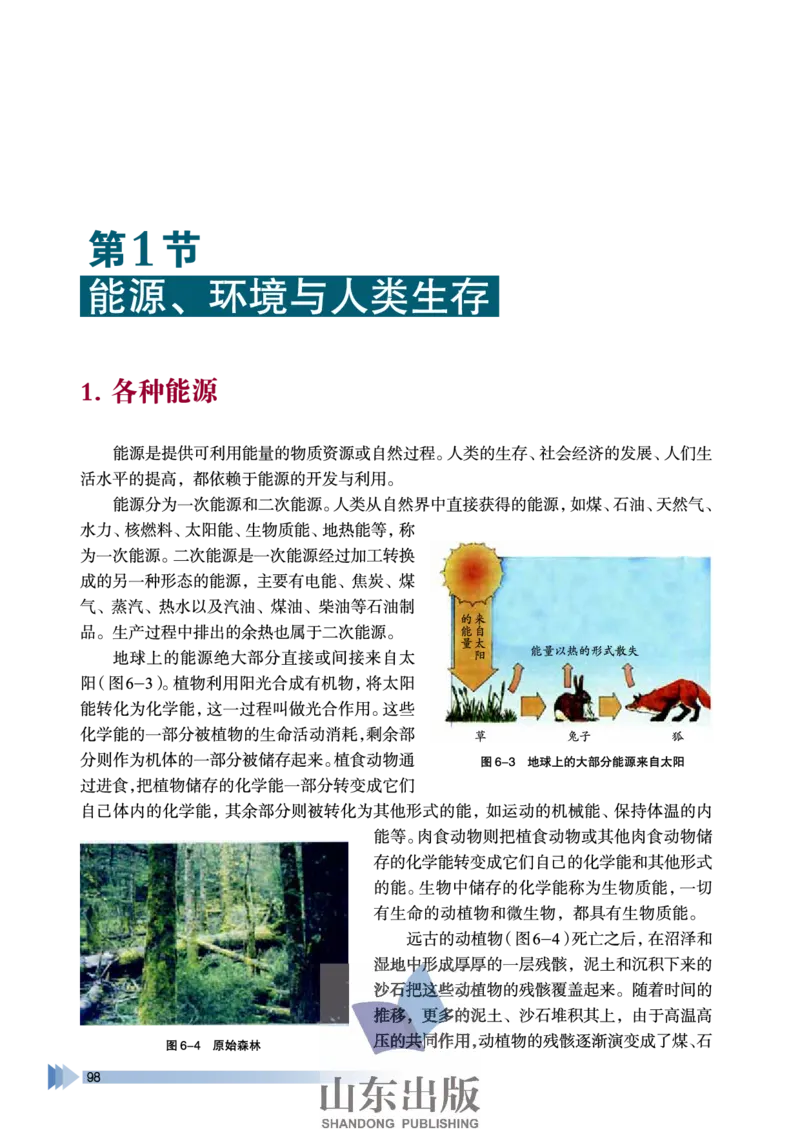 鲁科版高中物理选修3-3(2003)_4-教培资料-26年最新资料-同步更新_初中高中教资_03科三专项（进去保存报考的学科即可）_02科三专项（笔记真题思维导图教学设计版本二）