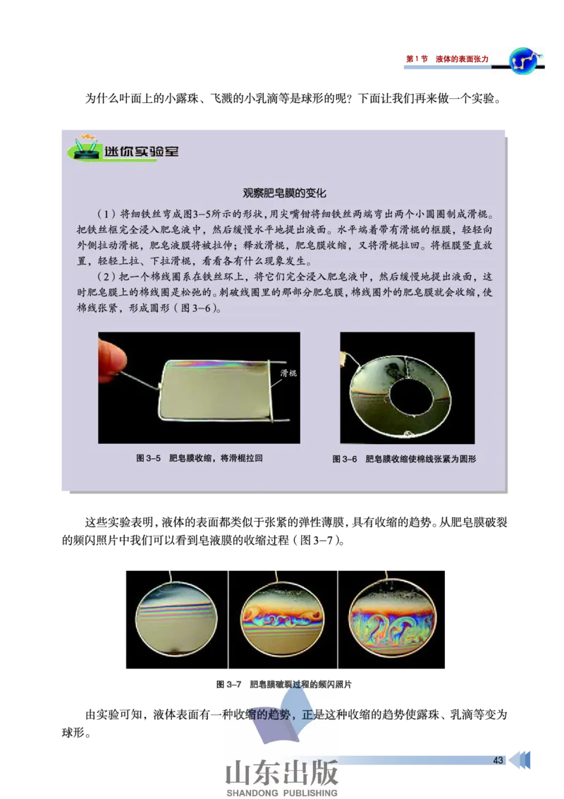 鲁科版高中物理选修3-3(2003)_4-教培资料-26年最新资料-同步更新_初中高中教资_03科三专项（进去保存报考的学科即可）_02科三专项（笔记真题思维导图教学设计版本二）