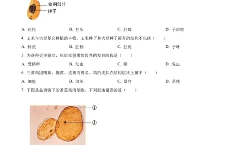 精品解析：2024年广东省中考生物真题（原卷版）_中考真题_8.生物中考真题2015-2024年_2024年中考生物真题_精品解析：2024年广东省中考生物真题