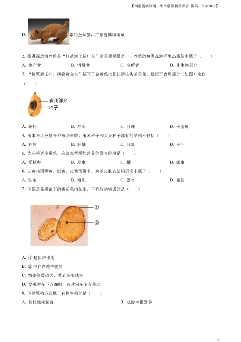 精品解析：2024年广东省中考生物真题（原卷版）_中考真题_8.生物中考真题2015-2024年_2024年中考生物真题_精品解析：2024年广东省中考生物真题