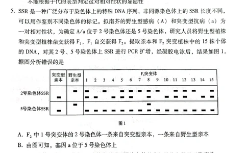 云南师范大学附属中学2025届高三下学期开学考试生物_2025年2月_250220云南师范大学附属中学2025届高三下学期开学考试（月考八）（全科）