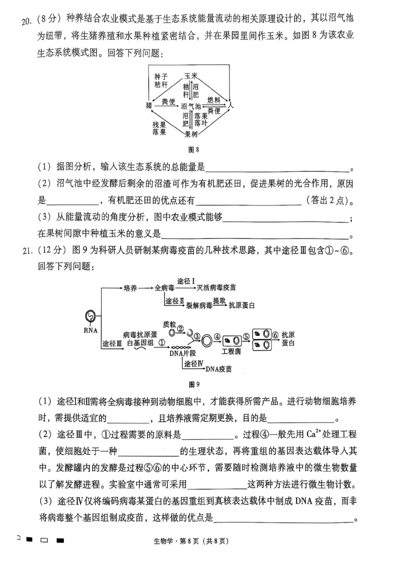 云南师范大学附属中学2025届高三下学期开学考试生物_2025年2月_250220云南师范大学附属中学2025届高三下学期开学考试（月考八）（全科）