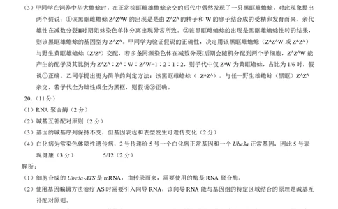 2025届重庆康德一诊生物答案_2025年1月_250119重庆市2025年普通高等学校招生全国统一考试（康德一诊）（全科）_生物