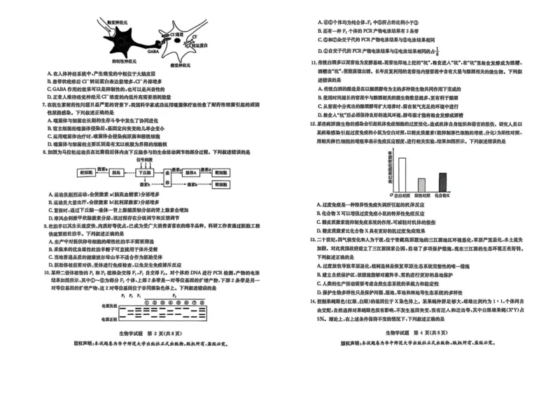 华大新高考联盟2025届高三下学期3月教学质量测评生物_2025年3月_250329华大新高考联盟2025届高三下学期3月教学质量测评（全科）_华大新高考联盟2025届高三下学期3月教学质量测评生物